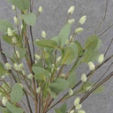 PUSSY WILLOW & EUCALYPTUS BUSH 25"