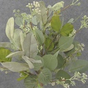 SEEDED EUCALYPTUS BUSH 20&quot; W/MIXED COLORING