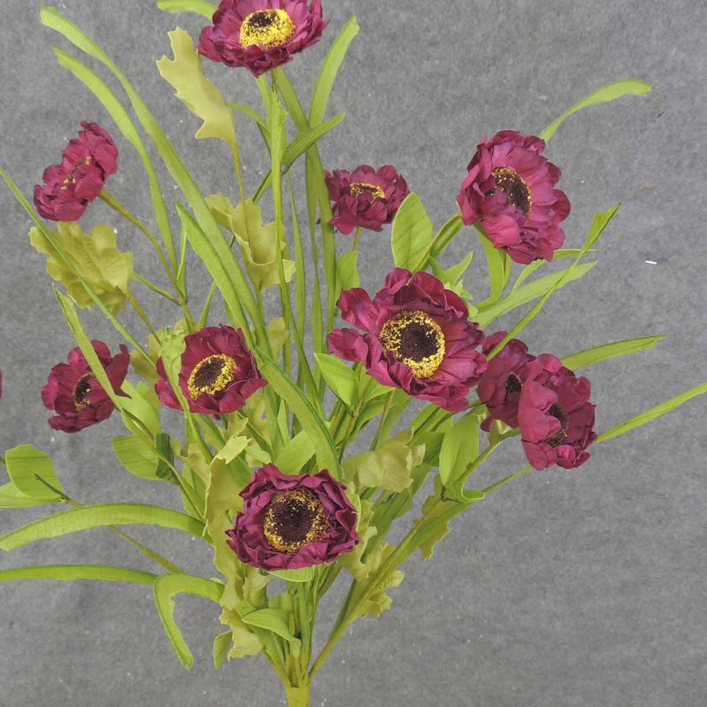 POPPY BUSH X11 21" BEAUTY (PAPER)