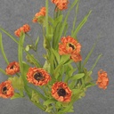 POPPY BUSH X11 21" ORANGE (PAPER)