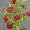 POPPY BUSH X11 21" RED (PAPER)