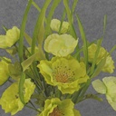 POPPY BUSH X12 21" GREEN (SILK)