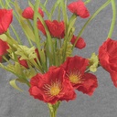 POPPY BUSH X12 21" RED (SILK)