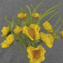POPPY BUSH X12 21" YELLOW (SILK)