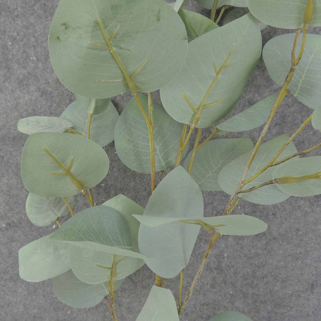 LEAF SPRAY X5 36&quot;  FROSTED GREEN
