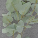 LEAF SPRAY X5 36&quot;  FROSTED GREEN