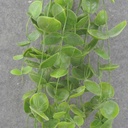 HANGING EUCALYPTUS VINE 40&quot; GREEN