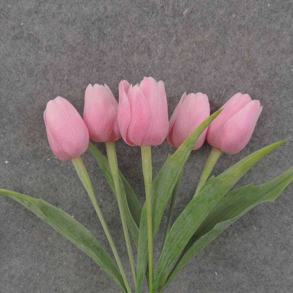 TULIP BUNDLE X5 17" PINK (PLASTIC)