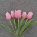 TULIP BUNDLE X5 17" PINK (PLASTIC)