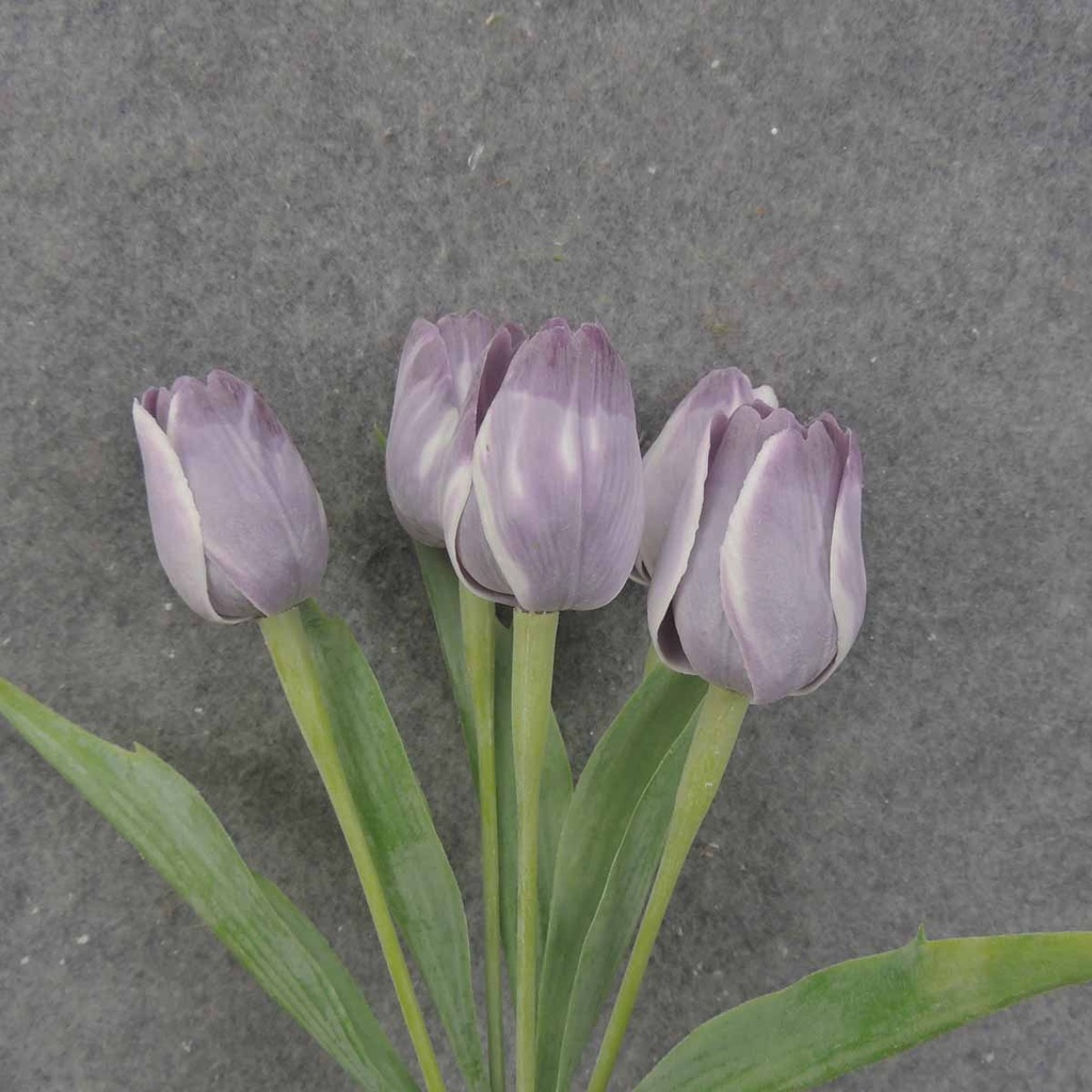 TULIP BUNDLE X5 17" PURPLE/WHITE (PLASTIC)