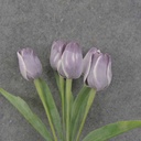 TULIP BUNDLE X5 17" PURPLE/WHITE (PLASTIC)