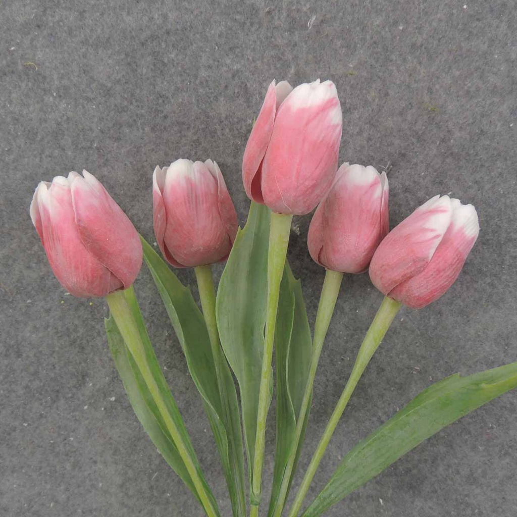 TULIP BUNDLE X5 17" RED/WHITE (PLASTIC)