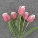 TULIP BUNDLE X5 17" RED/WHITE (PLASTIC)