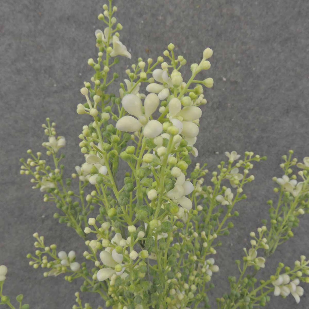 SEEDED FLOWER BUSH X9 21" CREAM/GREEN