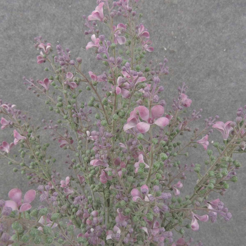 SEEDED FLOWER BUSH X9 21" LAVENDER/GREEN