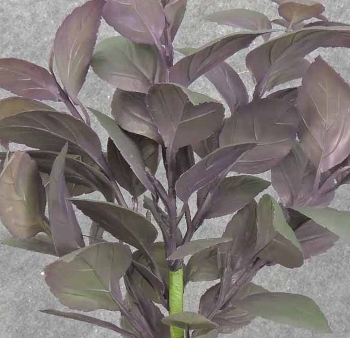 MINT LEAF BUSH X5 15" PURPLE/GREEN