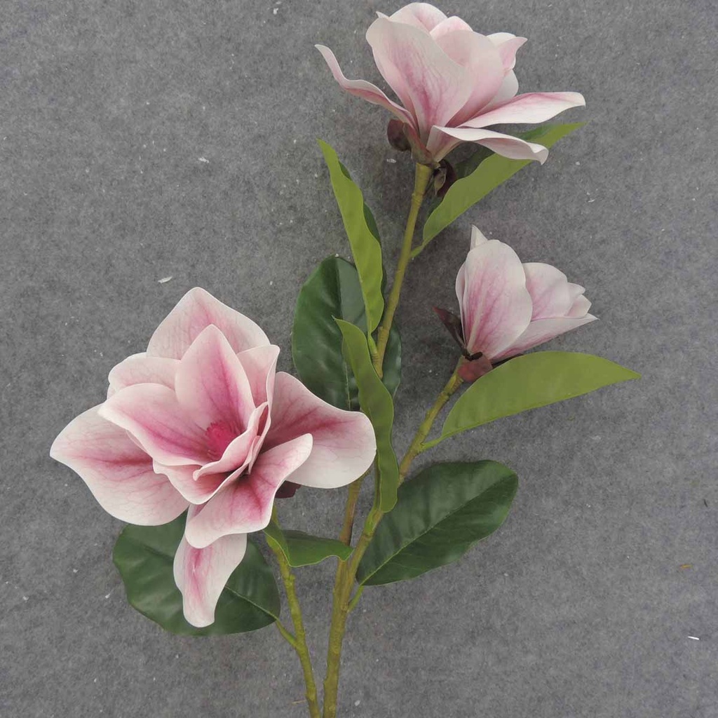 MAGNOLIA BLOOM SPRAY X3 38" CREAM/PINK