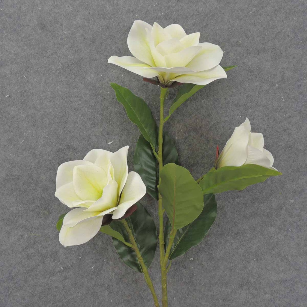 MAGNOLIA BLOOM SPRAY X3 38" CREAM/WHITE