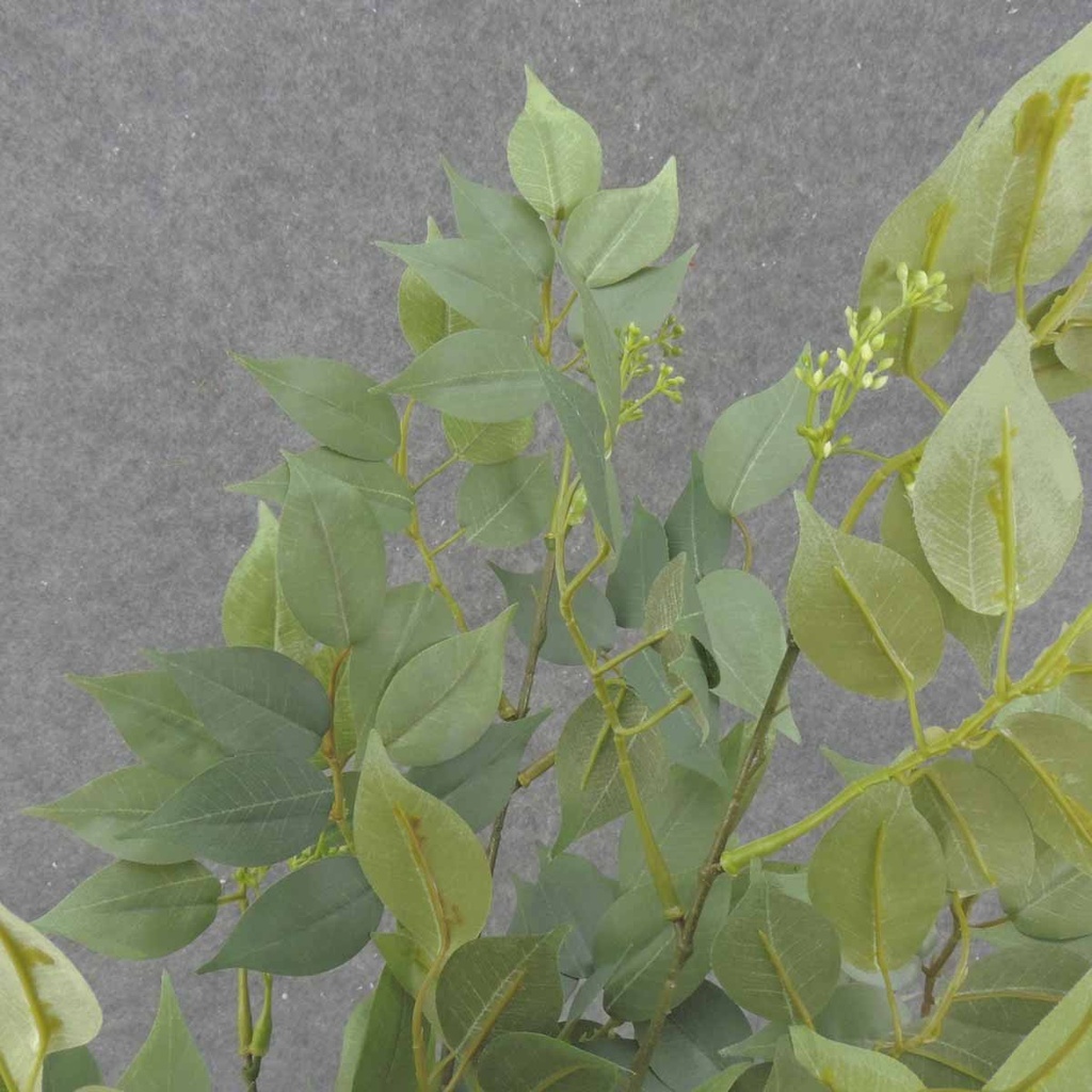 FICUS BUSH X4 W/228 LVS &amp; BERRIES FROSTED 