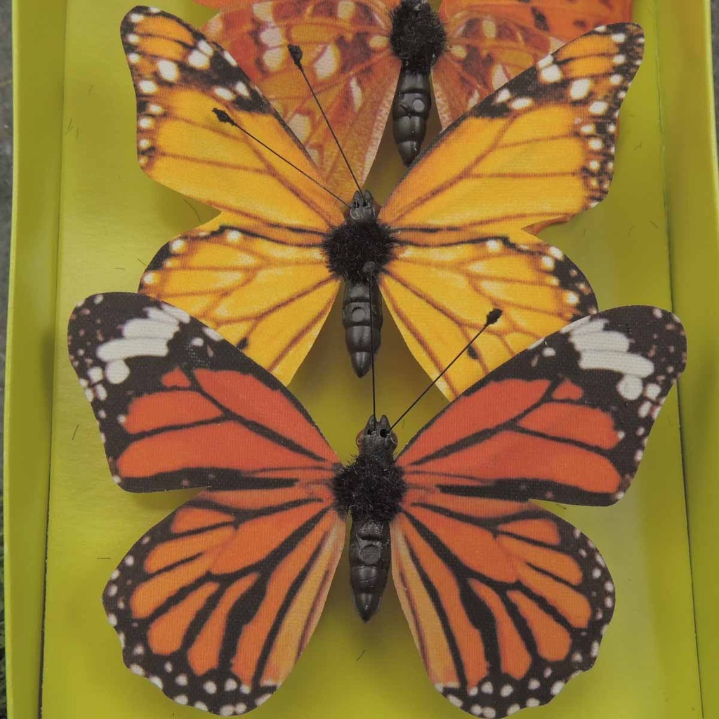 3" BUTTERFLIES ORANGE ASSORTED PRINTED 