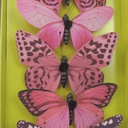 4.25" BUTTERFLIES PINK ASSORTED PRINTED