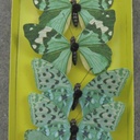 4.25" BUTTERFLIES 3-ASST TEAL/GREEN PRINTED