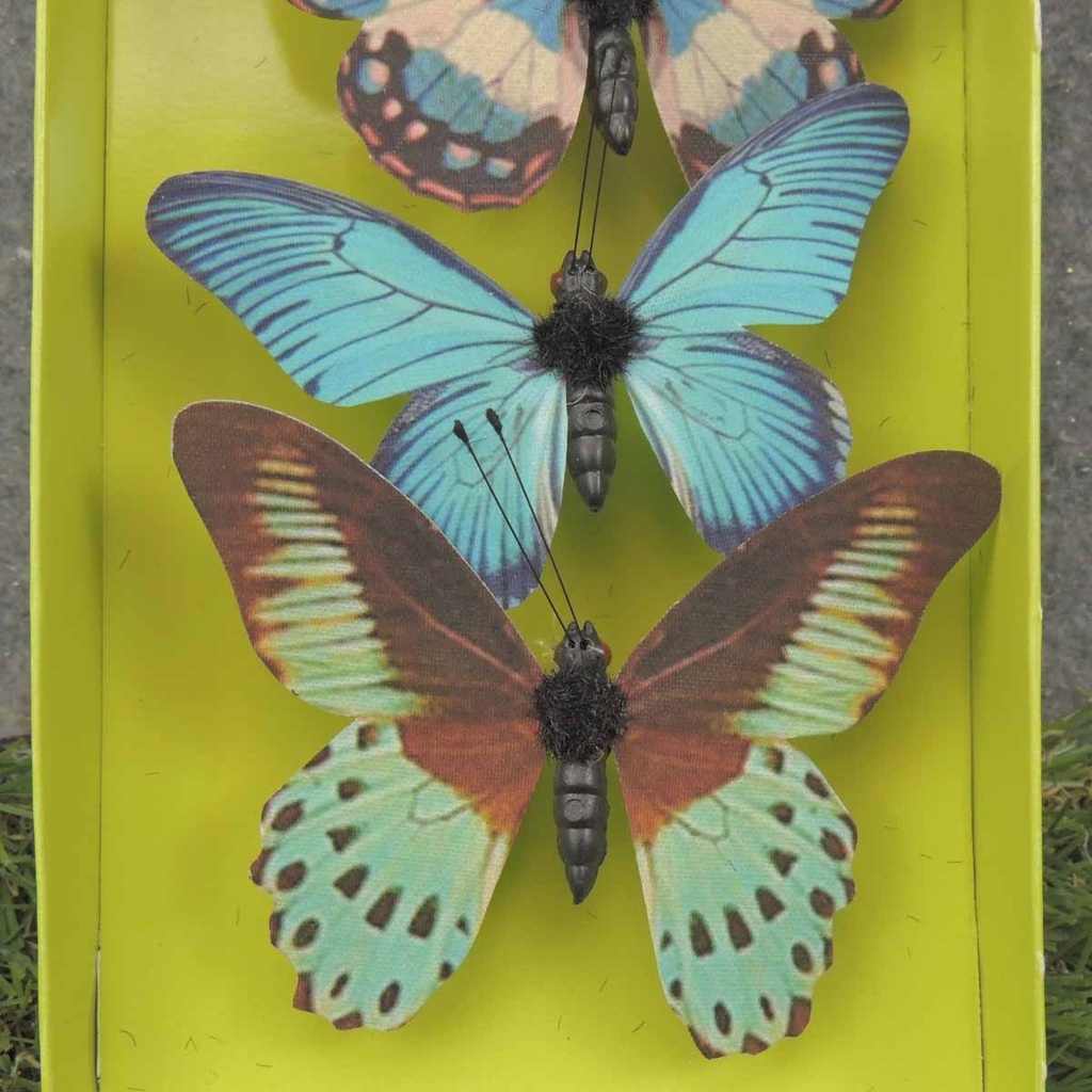 3" BUTTERFLIES ASSORTED PRINTED 