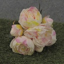 PEONY BUNDLE X7  11"  CREAM/PINK