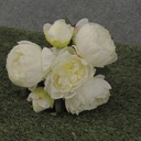 PEONY BUNDLE X7  11"  CREAM/WHITE