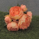 PEONY BUNDLE X7  11"  PEACH