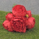 PEONY BUNDLE X7  11"  RED