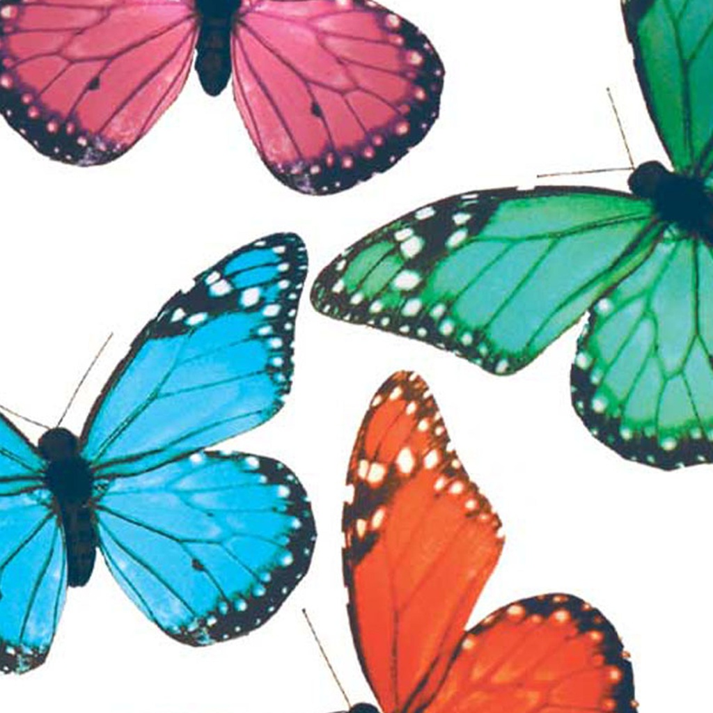 5" PRINTED BUTTERFLY 4 ASSORTED (8 PER BOX) MONARCH MIX