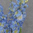 DELPHINIUM BUSH X5 23" W/BUDS  BLUE