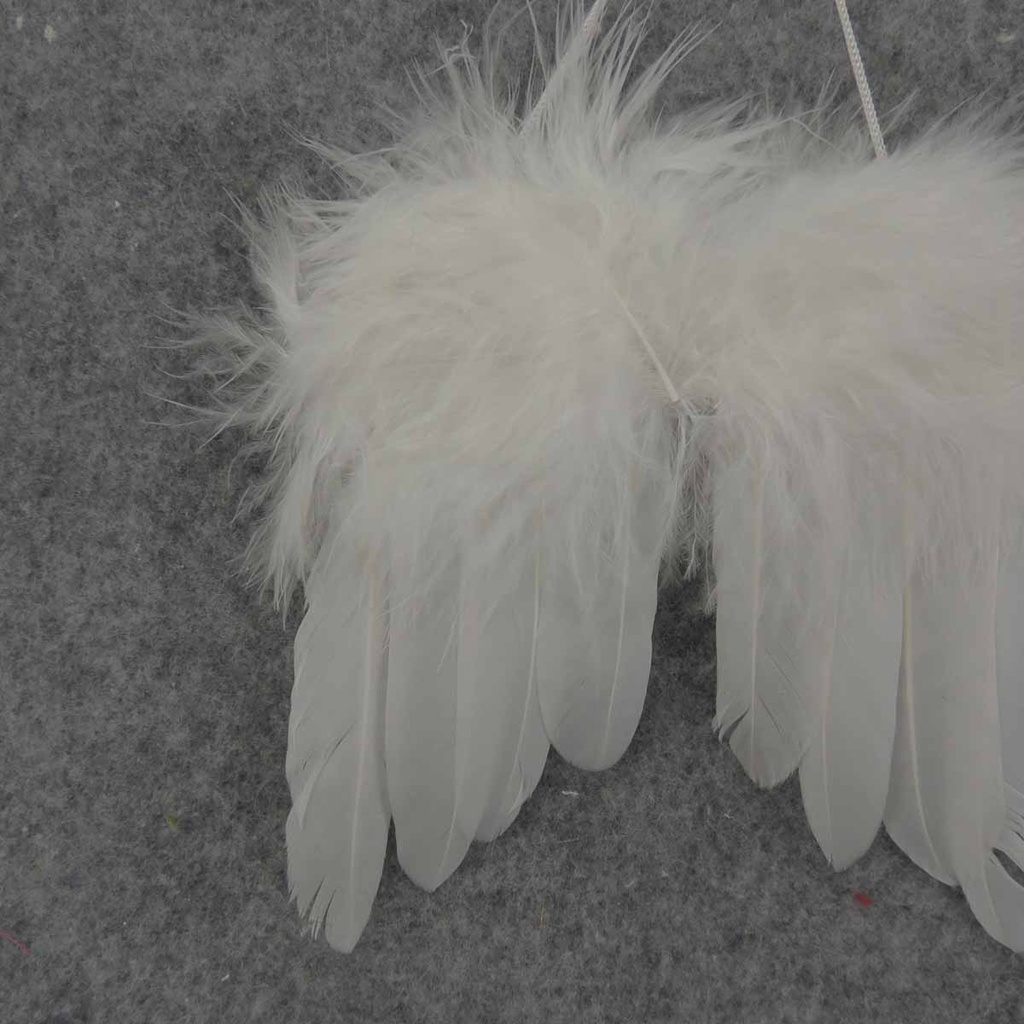 ANGEL WINGS 4&quot; FEATHERED WHITE  W/WHT HANGER
