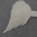 ANGEL WINGS 18&quot;FEATHERED WHITE W/LACE BELT