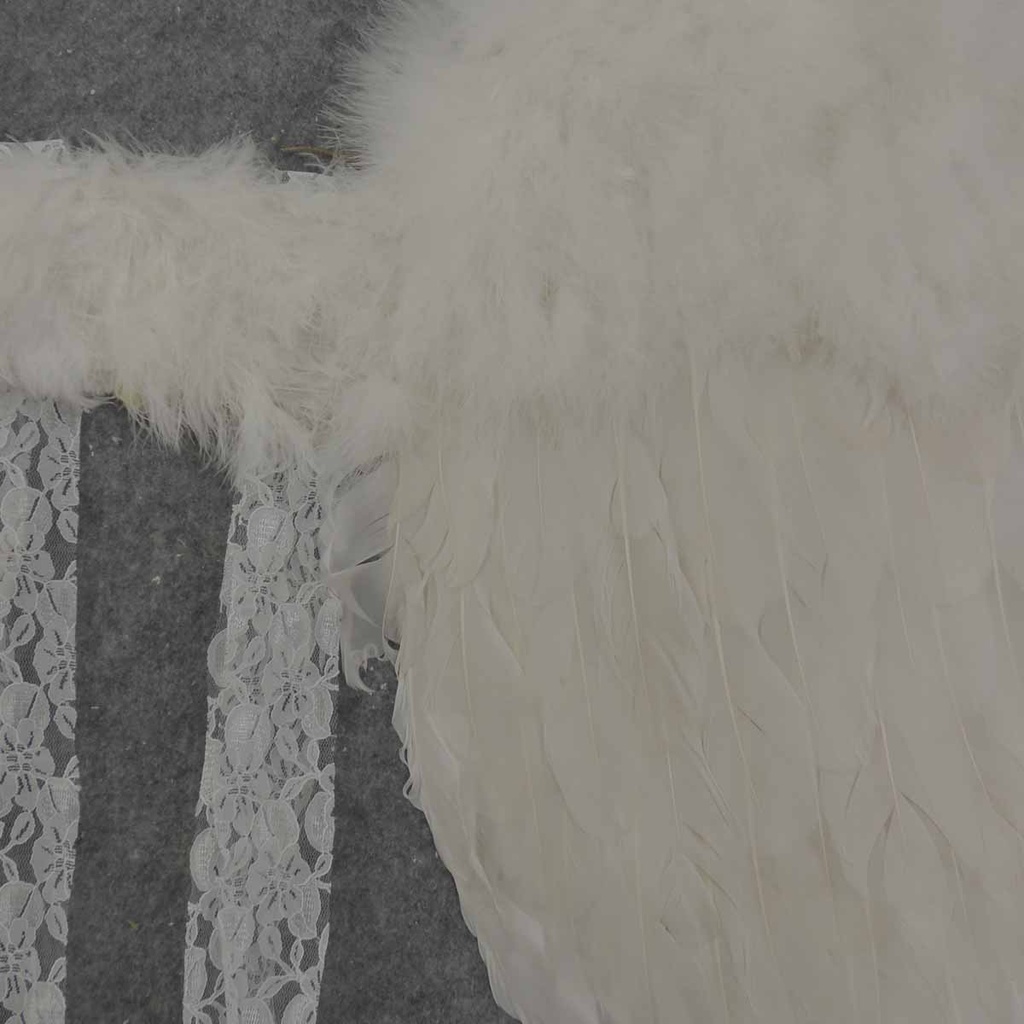 ANGEL WINGS 26" FEATHERED WHITE W/LACE BELT