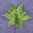 POINSETTIA PICK 12" 10"dia BLM  EMERALD GREEN