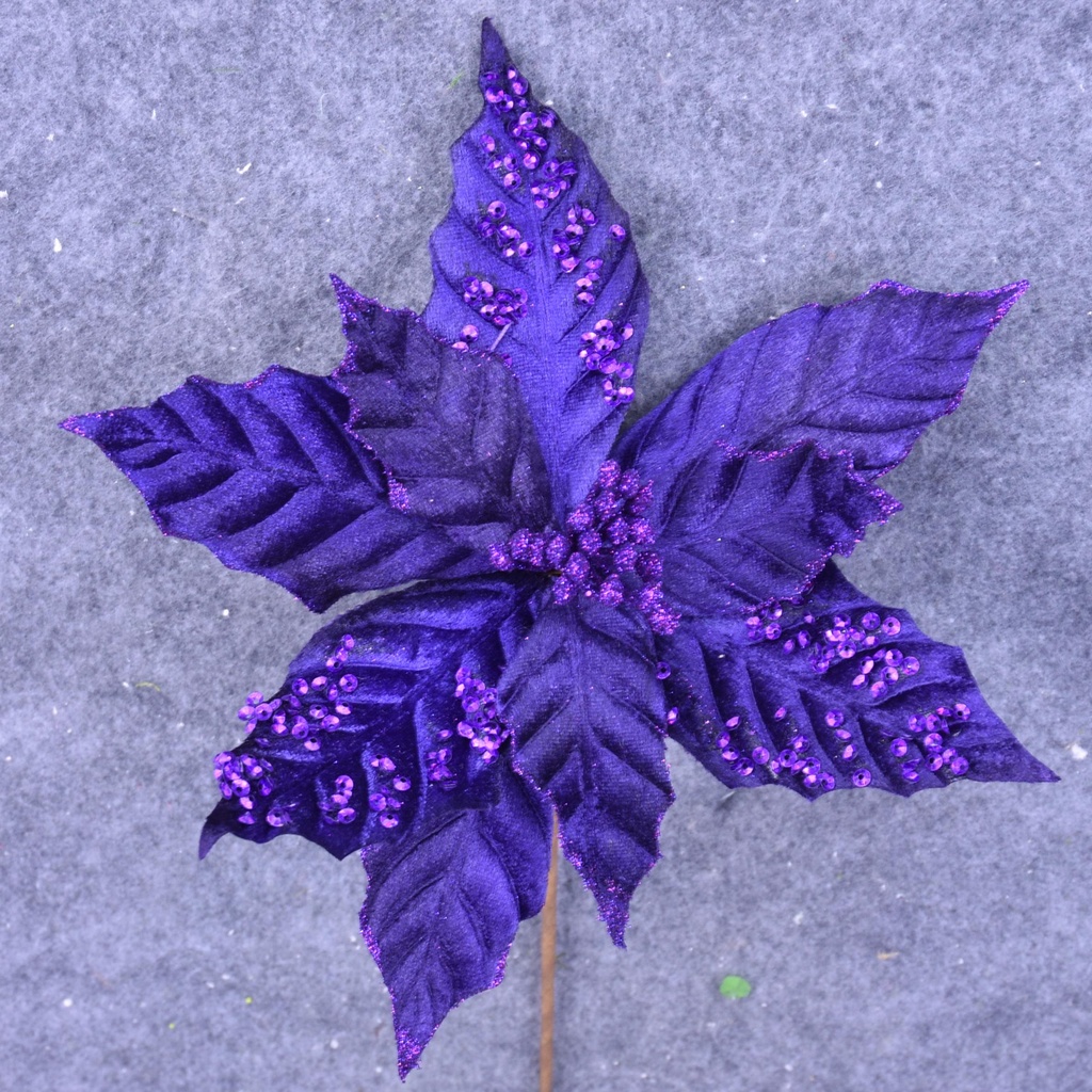 POINSETTIA PICK 12" 10"dia BLM  PURPLE