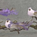 5.5" MUSH/FEA BIRD W/CURLY TAIL W/CLIP 3-PURPLE