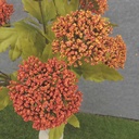 18" RED/ORANGE QUEEN ANNE'S LACE BUSH X9