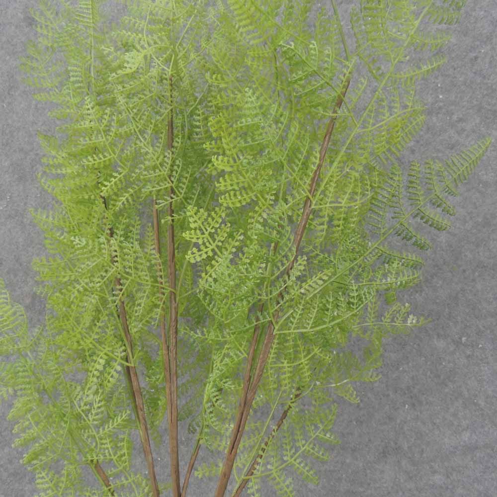 APARAGUS FERN SPRAY 28" (3/BDL) GREEN