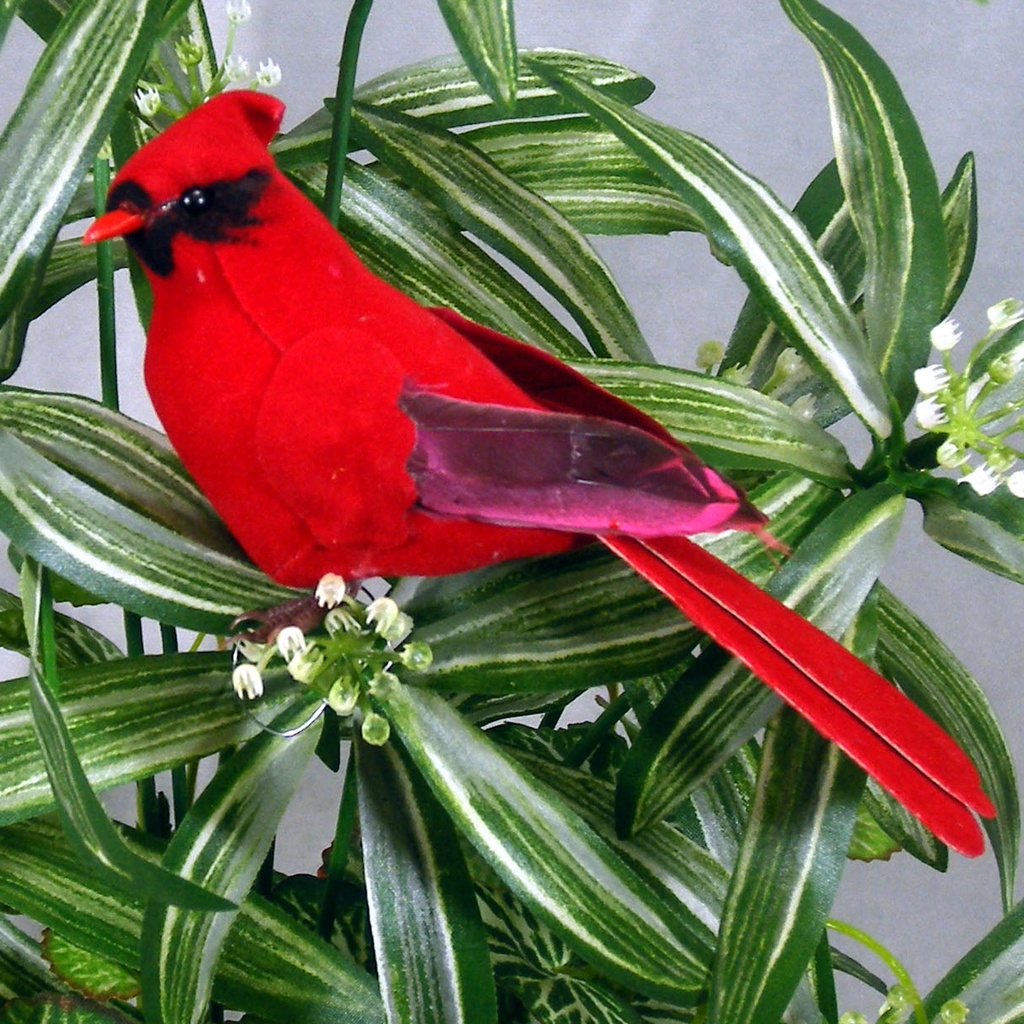 5.5" MUSHROOM CARDINAL W/FEET 6/BOX W/WIRE