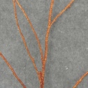 50" GLITTER TWIG SPRAY  BROWN