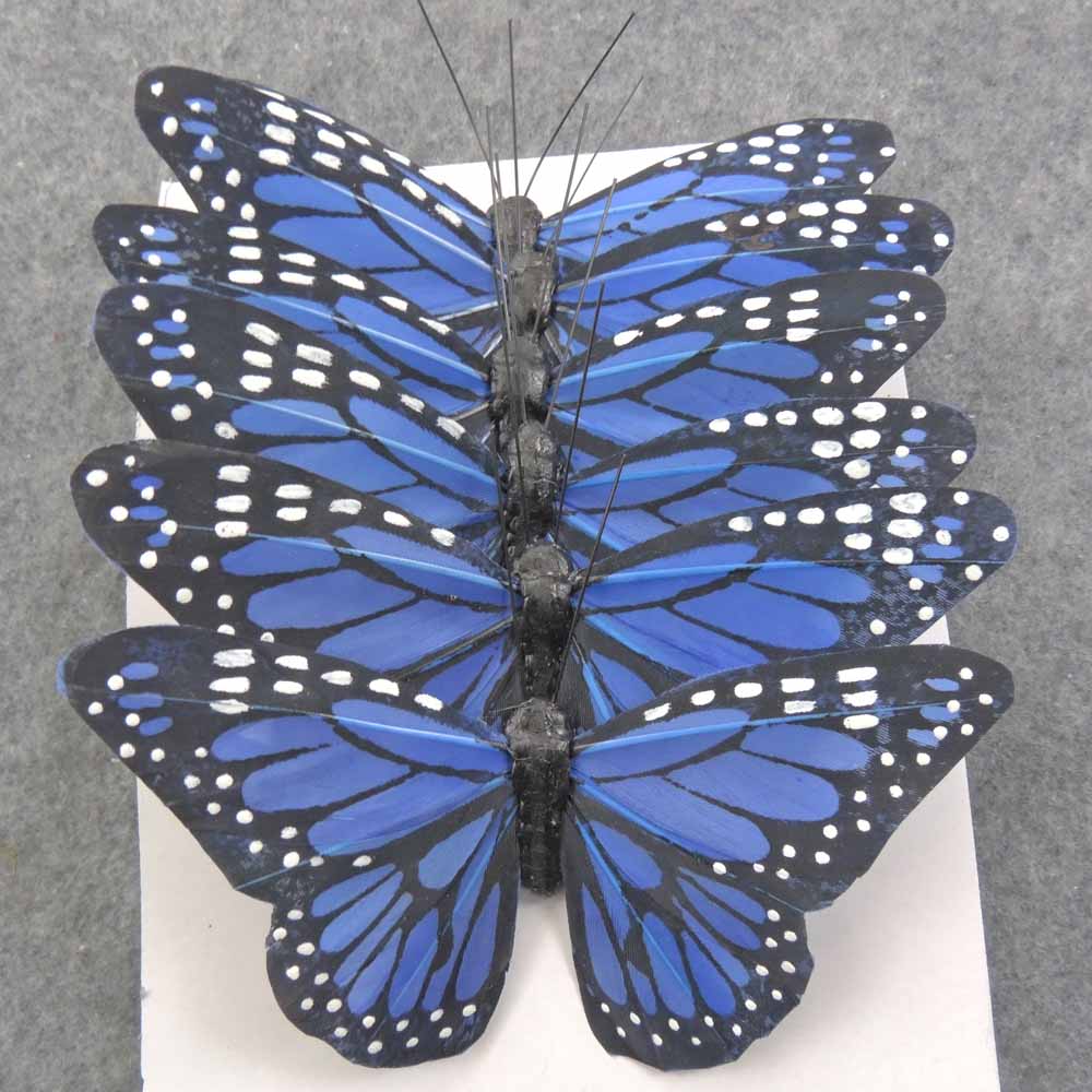 blue monarch butterfly wings