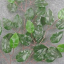 25" GREEN FICUS SPRAY X3 (WEATHERPROOF)