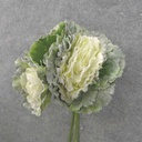 12" FROSTED CABBAGE PLANT BUNDLE X3 CREAM