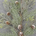 29&quot; FROSTED PINE SPRAY W/CONES