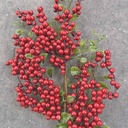 22" BERRY CLUSTER SPRAY W/LEAVES