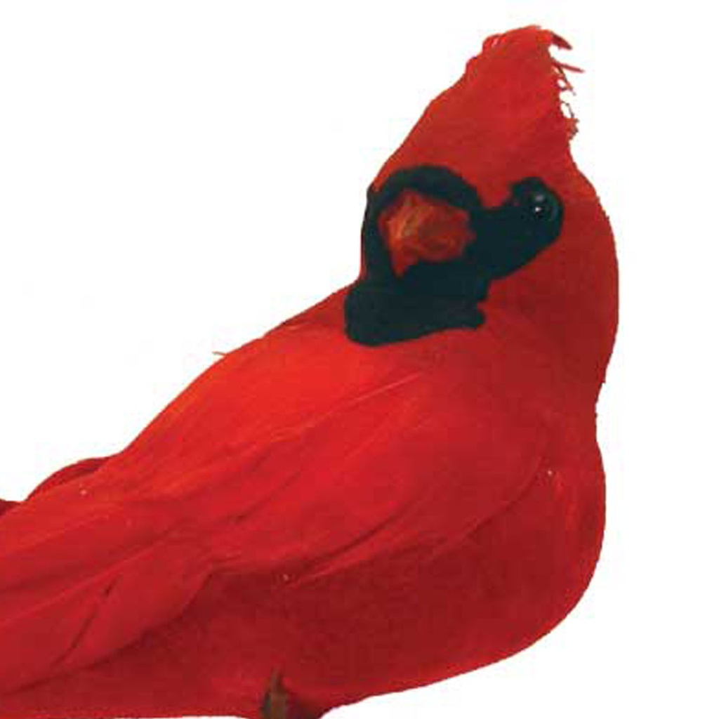 6" FLOCKED CARDINAL WITH FEATHERS