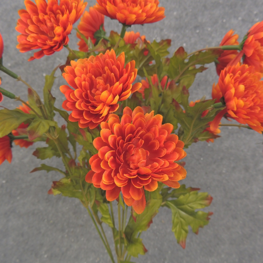 MINI MUM BUSH X9 ORANGE